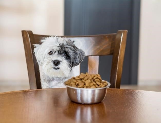 hill’s puppy food feeding guide