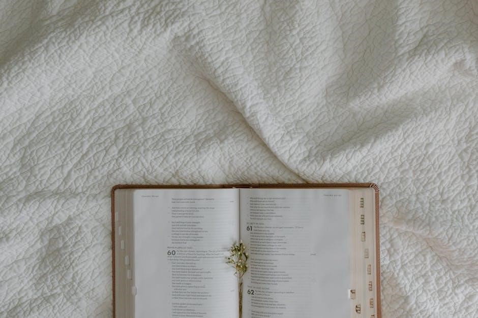mere christianity study guide questions